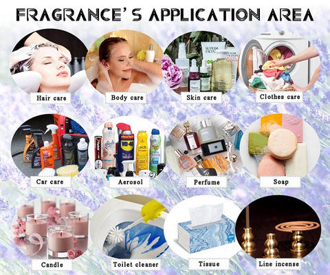 Long Lasting Oil Perfume Fragrance Famous Branded Perfume Fragrance Oil