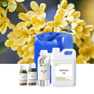 Minyak Parfum Merek Kualitas Tinggi Minyak Parfum Prancis Minyak Tubuh Wewangian Grosir Massal Parfum Kustom Wewangian