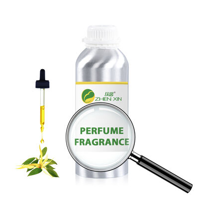 Luxury Arab Perfume Oil High Concentration Perfume Oil Wholesale Brand Perfume Luxury Cologne Perfume Fragrance Body Spray Oil